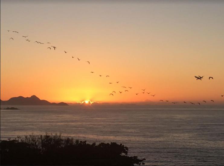 Vidigal Hostel Bar Rio de Janeiro Dış mekan fotoğraf